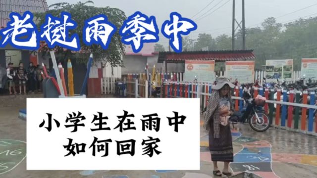 雨季中的老挝遇到大雨时小学生们是如何回家的