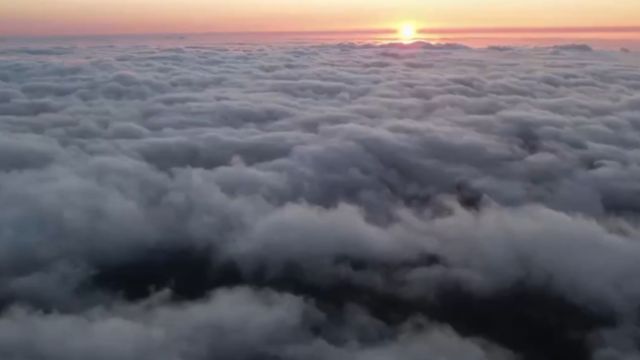 海南尖峰岭蕴藏着丰富的生物资源,是全球生物多样性热点地区之一