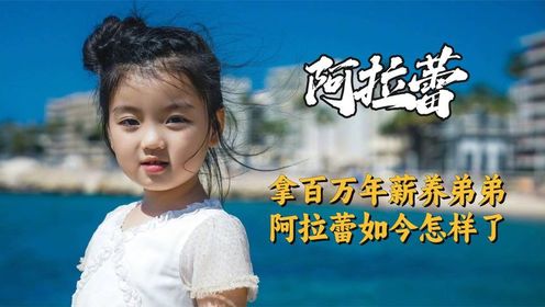 阿拉蕾:全年无休,拿百万年薪养弟弟,阿拉蕾如今怎样了