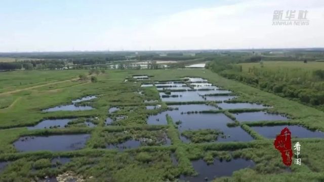 千城百县看中国丨廊坊:龙河湿地风景美如画