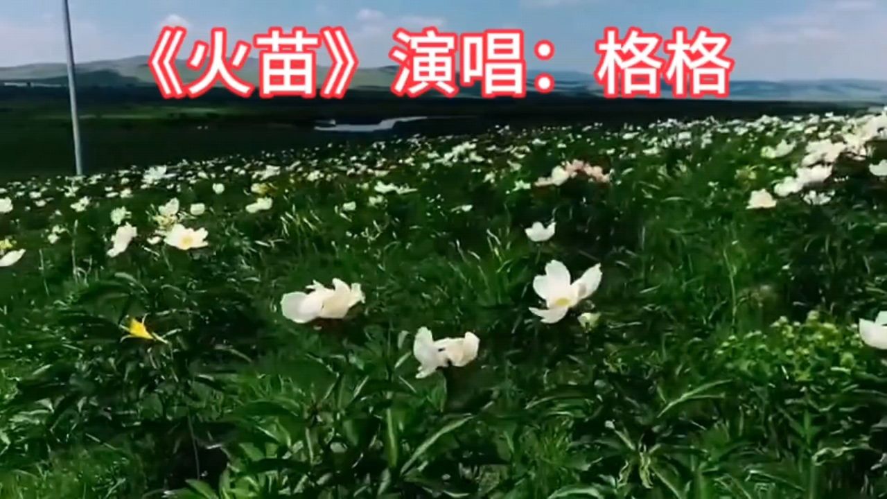 格格《火苗》经典老歌推荐