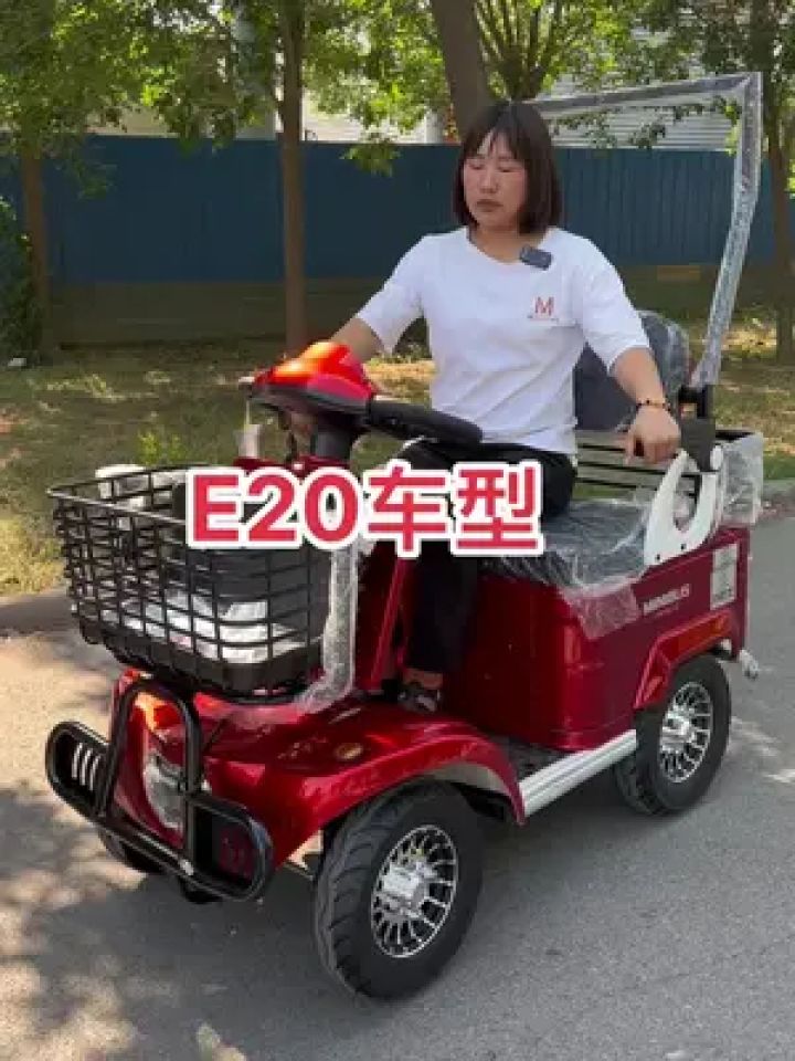 e20车型#电动四轮车