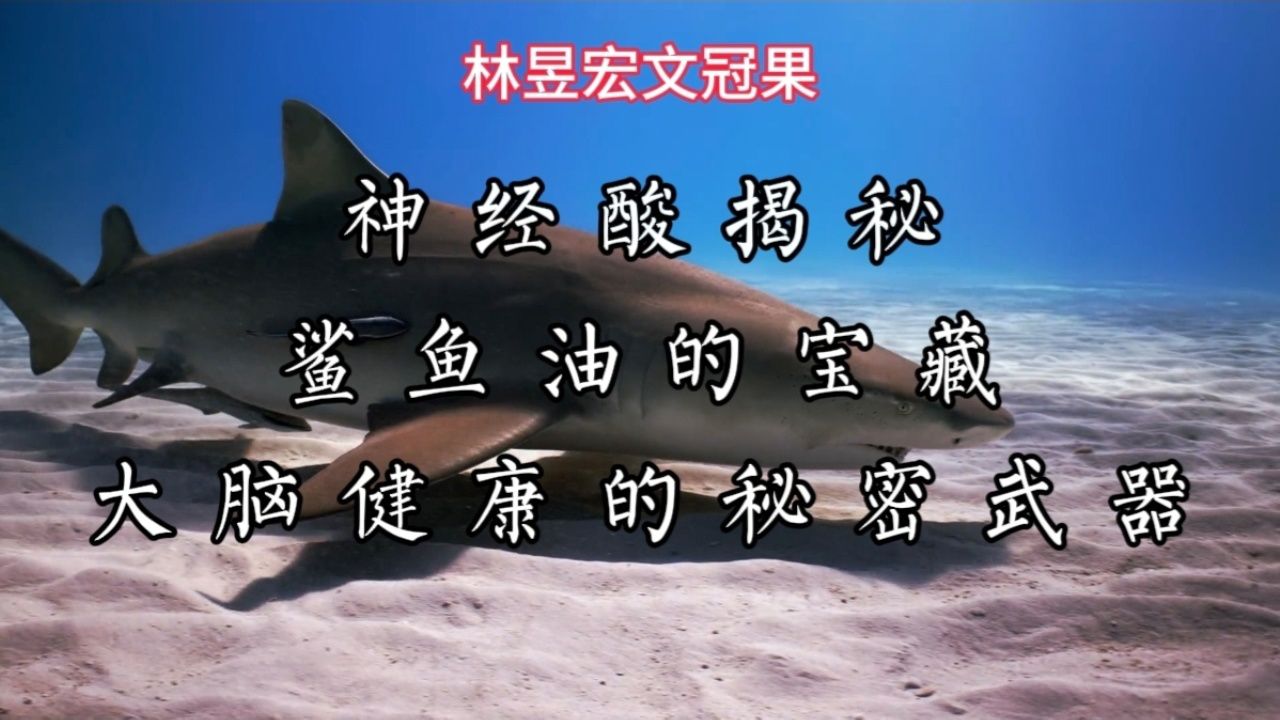 神经酸揭秘:鲨鱼油的宝藏,大脑健康的秘密武器