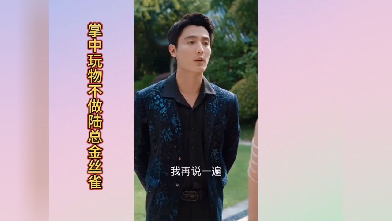 《掌中玩物不做陆总金丝雀》完结_高清