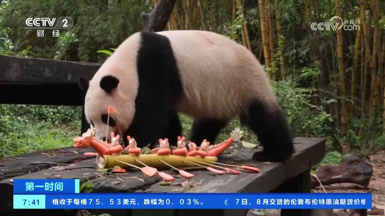 广东广州 大熊猫吃粽子过端午 最爱胡萝卜?