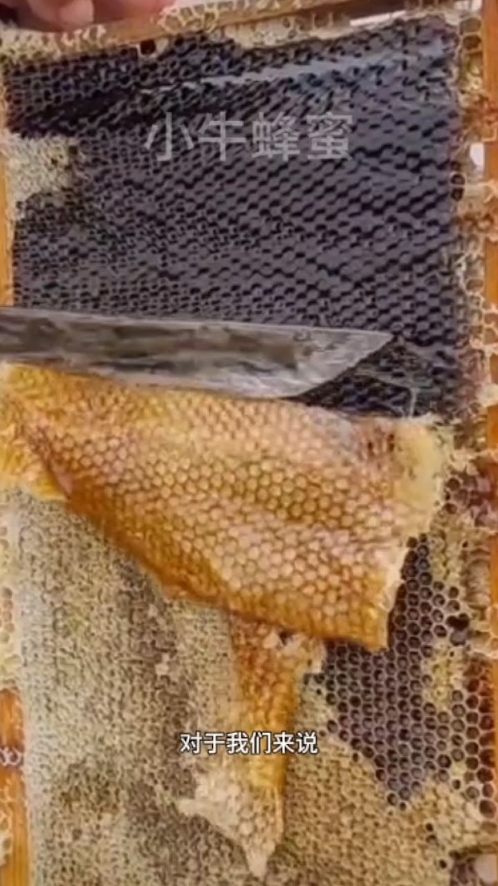 蜂皇浆蜂巢蜜蜂花粉小牛蜂蜜蜂蜜水蜂蜜的功效与作用蜂蜜的价格多少