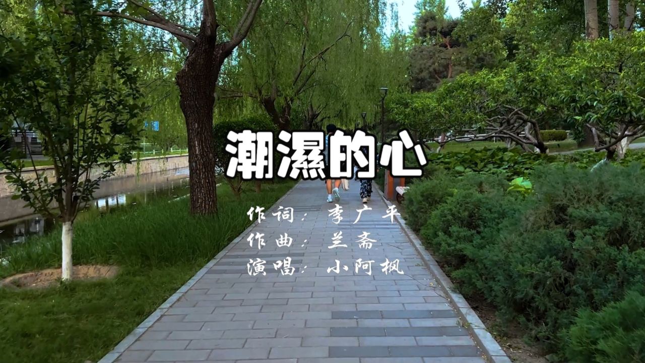 小阿枫 演唱一首《潮湿的心》旋律优美,令人陶醉,歌曲完整版
