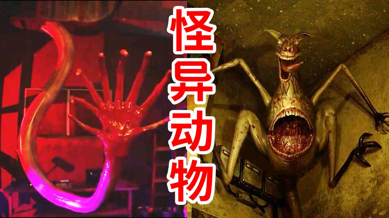 袋鼠上天?变异生物之诡异动物园!《zoochosis》恐怖游戏前瞻