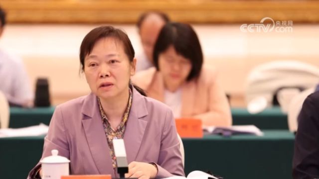 2024年党外人士调研行ⷮŠ民革中央:加快建设高效顺畅现代流通体系