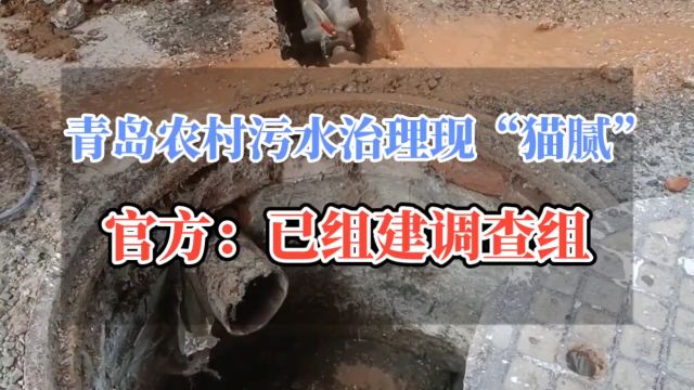 青岛农村污水治理现“猫腻”,官方:已组建调查组