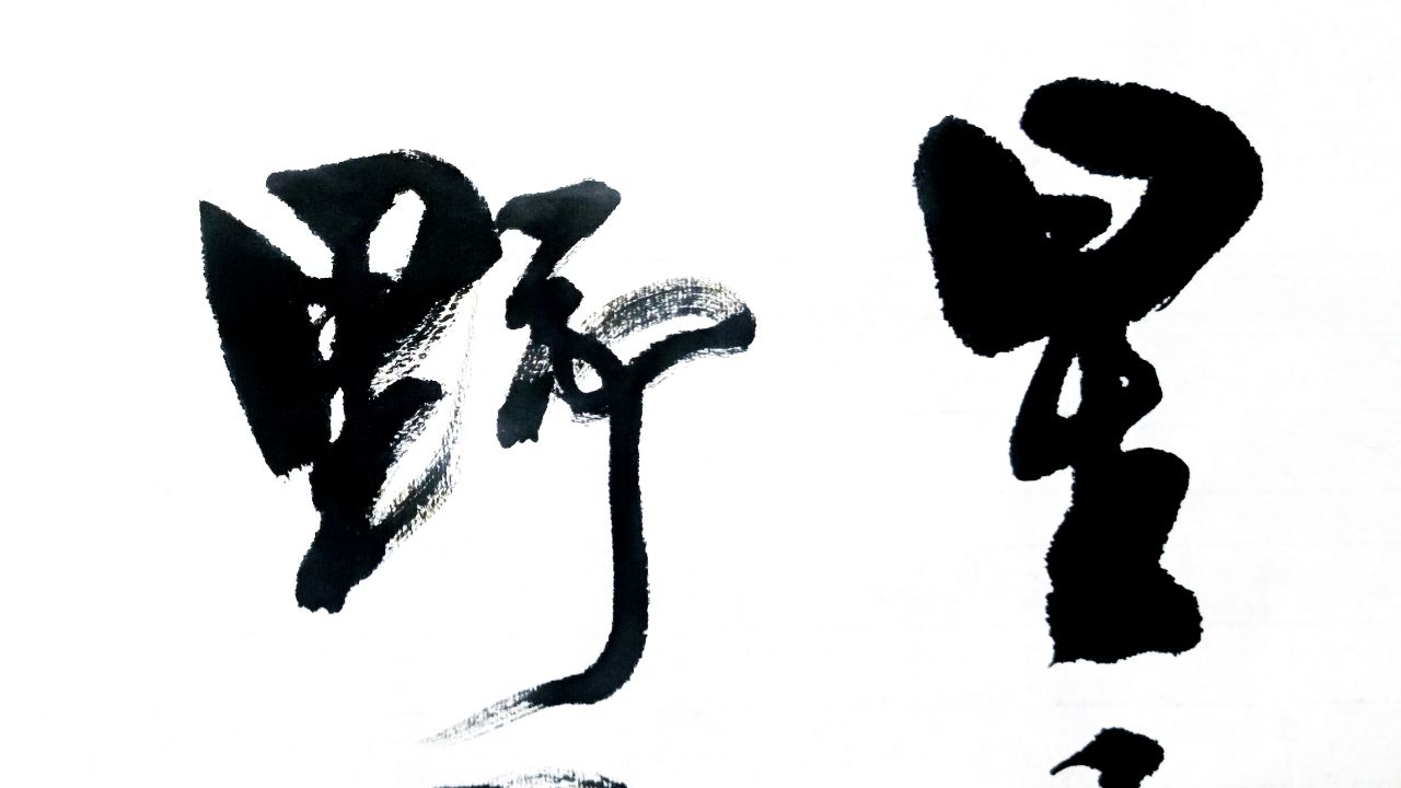 每日书法:名诗名句"星垂平野阔,月涌大江流"