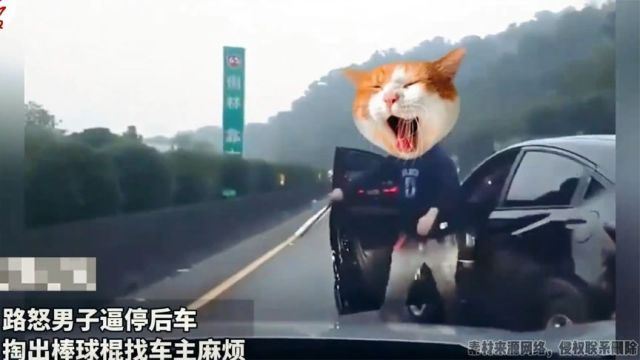 路怒男子逼停后车,掏出棒球棍找麻烦,结果反被“教育”秒认怂