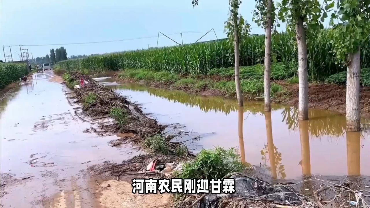 河南农民刚迎甘霖遭洪水侵袭