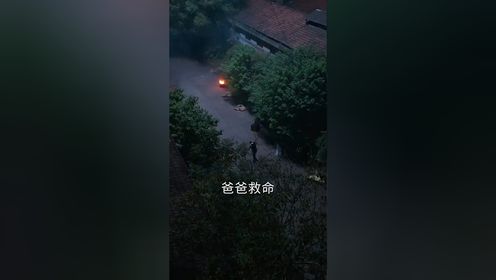 豪门萌宝绑个爹地宠妈咪  上