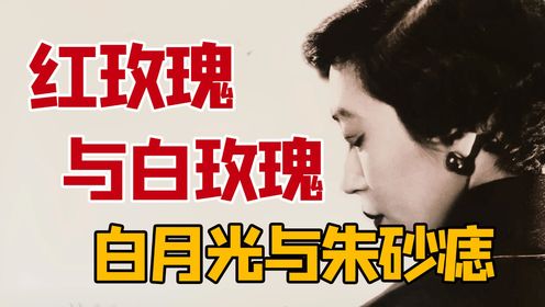 张爱玲：每个人一生中都有属于自己的红玫瑰与白玫瑰｜北师大教授张莉解读张爱玲天才之作