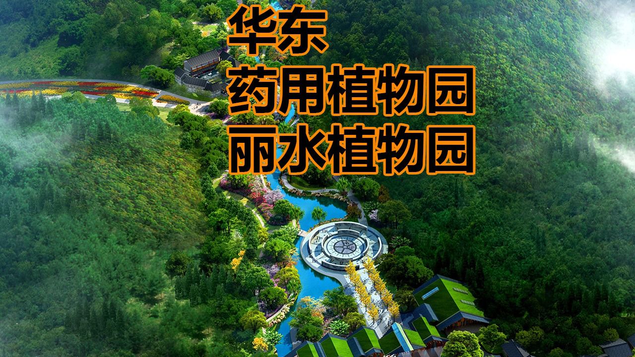 丽水华东植物园效果图图片