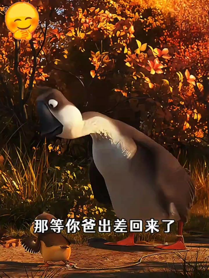 《妈妈咪鸭》要个姐姐!