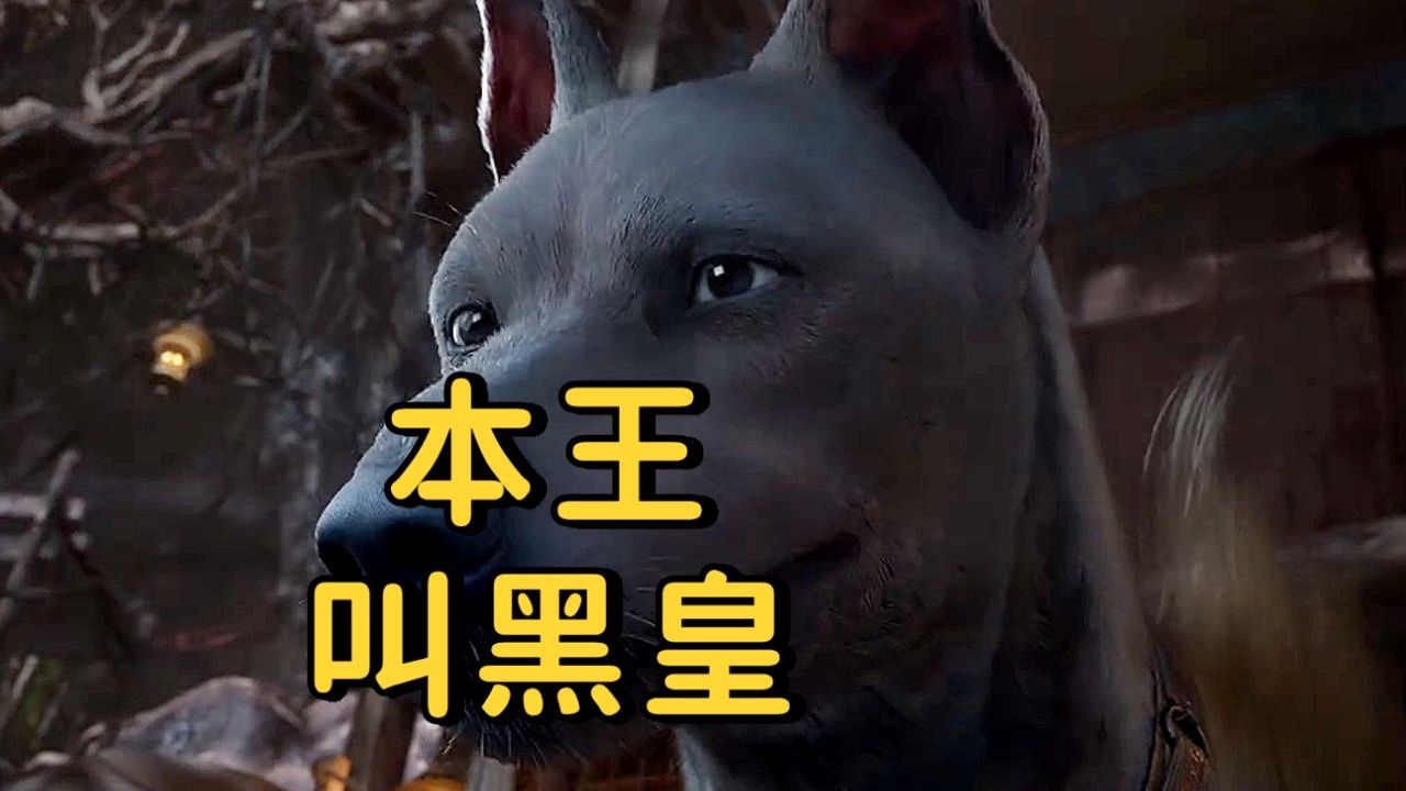 遮天:黑皇正式登场了,黑皇登场就意味着庞博就要回归了_高清1080P在线观看平台_腾讯视频