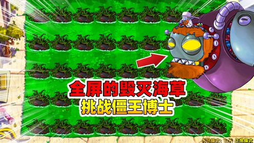 植物大战僵尸杂交版：全屏的毁灭海草挑战僵王博士_高清