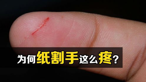 “纸张割手”为何这么疼?最容易划破手的纸,被科学家找到了!_高清1080P在线观看平台_腾讯视频