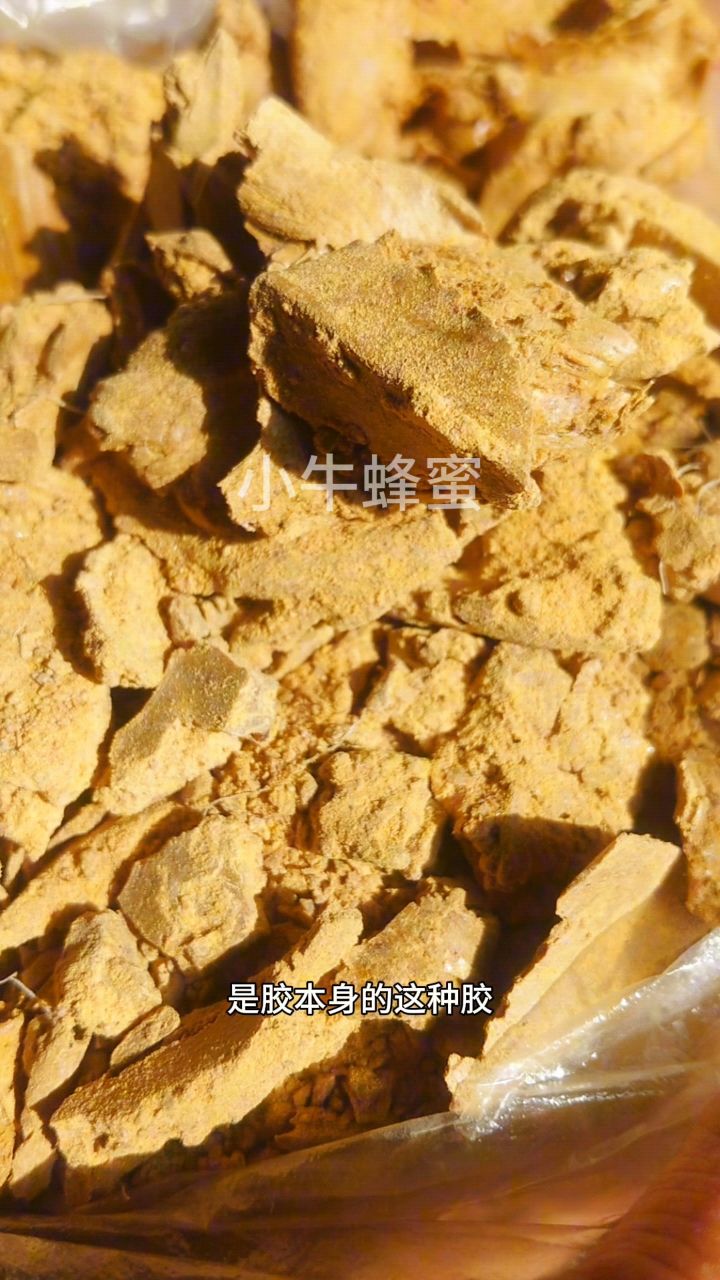 蜂胶的正确吃法与用量(蜂胶治失眠效果非常大)