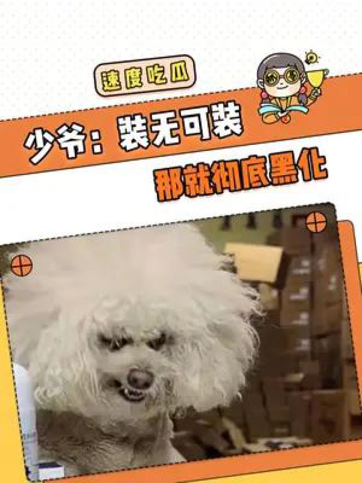 少爷们的小宠物