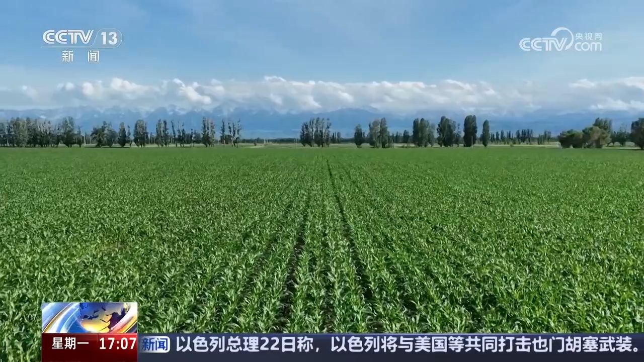 全国耕地面积19.29亿亩我国北方5省区拥有全国近四成耕地_高清1080P在线观看平台_腾讯视频