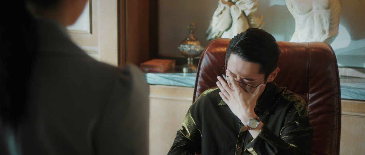 乘龙赘婿 11集