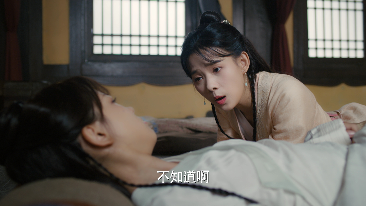 今人不见古时玥 11集