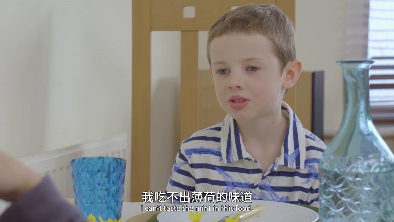 我的厨房天地 第二季 英文版 12集