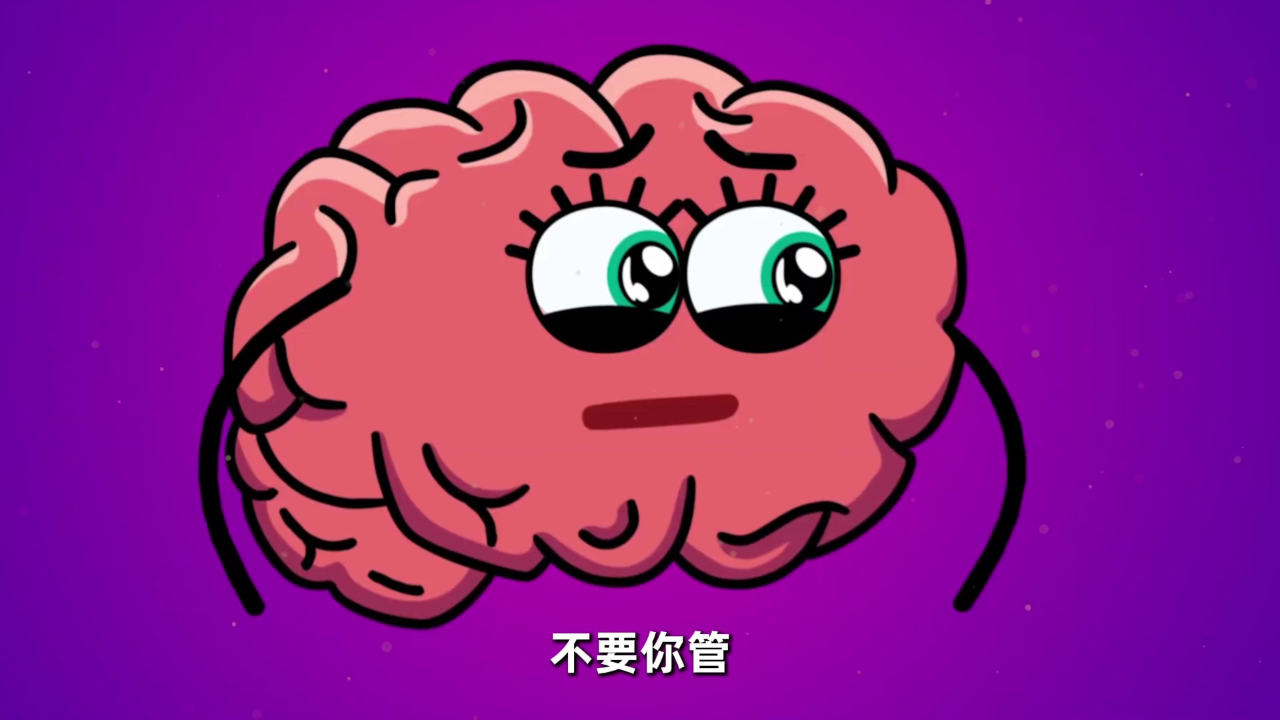 器官大冒险 身体里的开心派对 5集