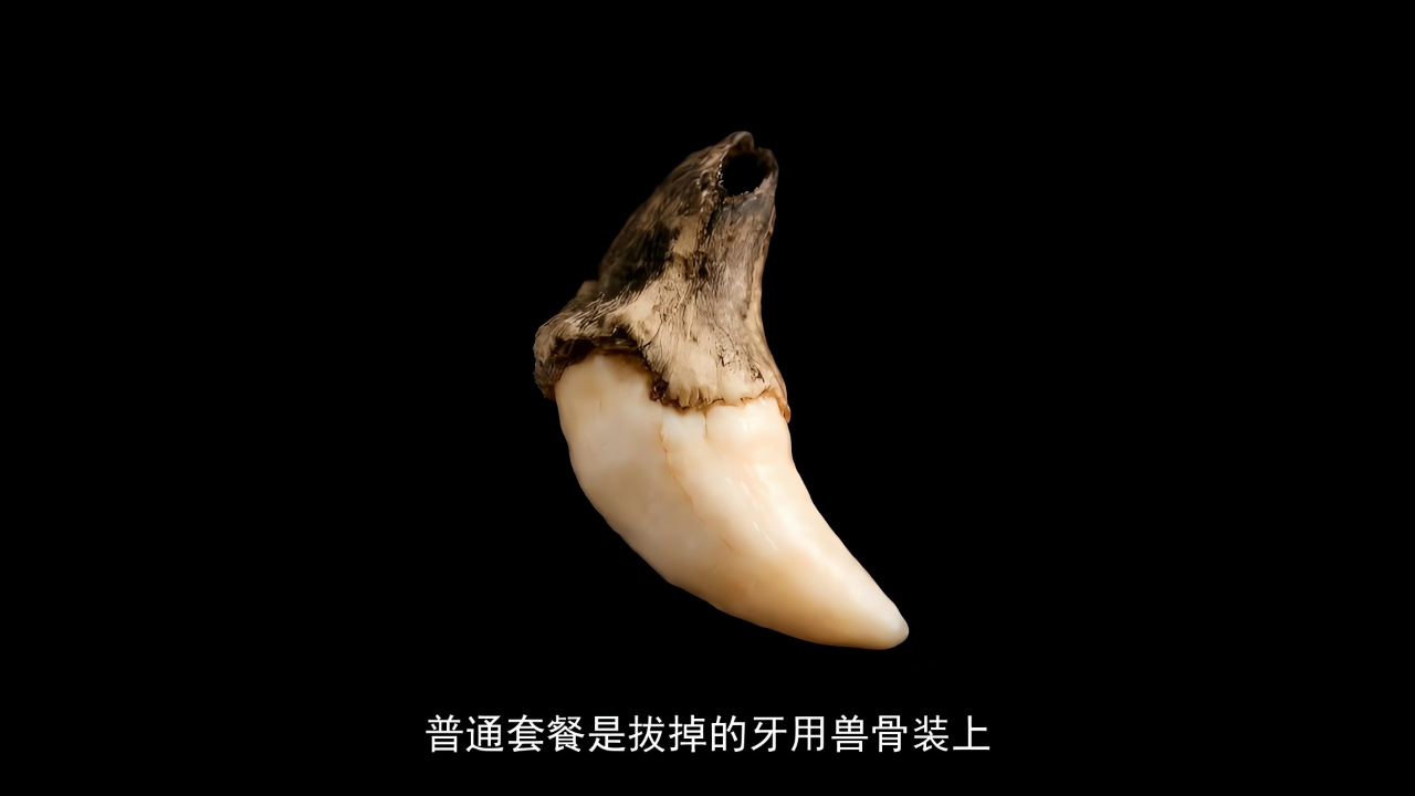 少年智多星 14集