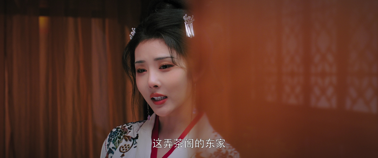 贤婿 4集