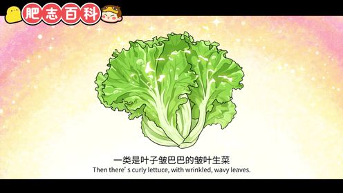 原来你是这样的生菜_08_少儿_动画片大全_腾讯视频