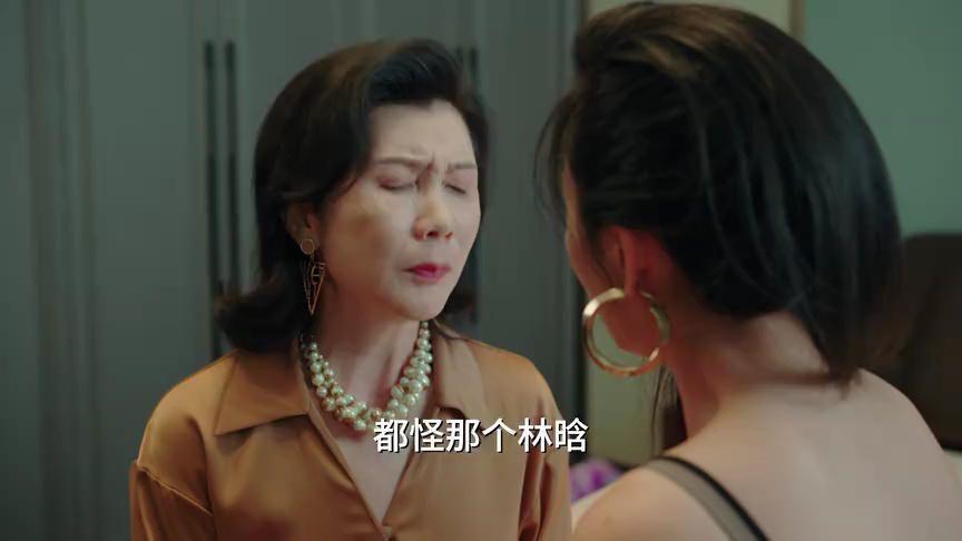 望母成凤 16集