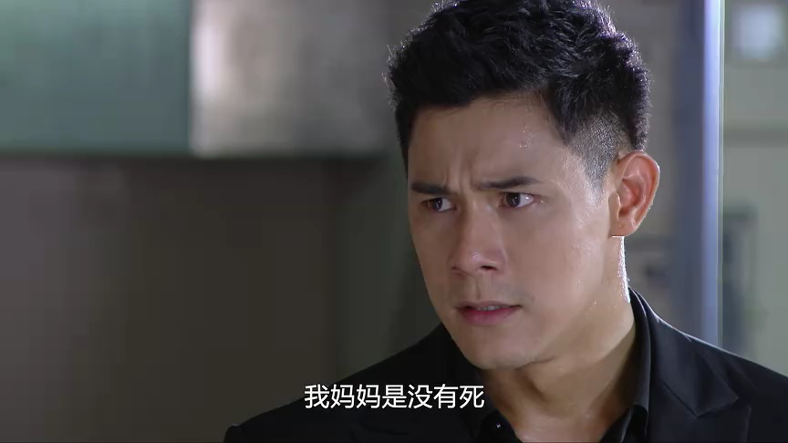 不情愿的新娘[普通话版] 33集
