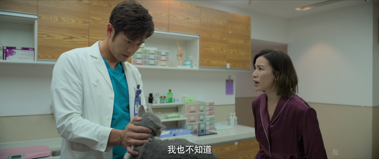 今天的她们 14集