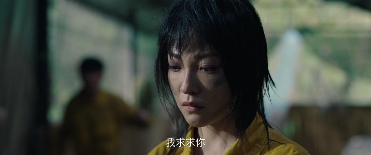 大蛇再袭封面图