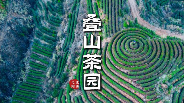 叠山茶园:大地指纹,江西农业奇观