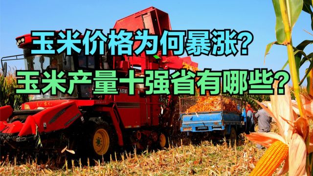 玉米涨得“心惊肉跳”,中国历年玉米产量十强省,看看有你家乡吗?