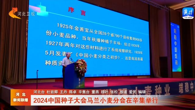 2024中国种子大会马兰小麦分会在辛集举行