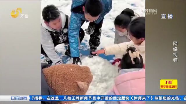 体育老师“硬气”借课,带六年级学生打雪仗,引发网友热议