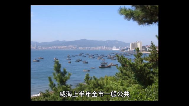 2023年16月威海各地财政收入表现,荣成总量领先,文登增速出色