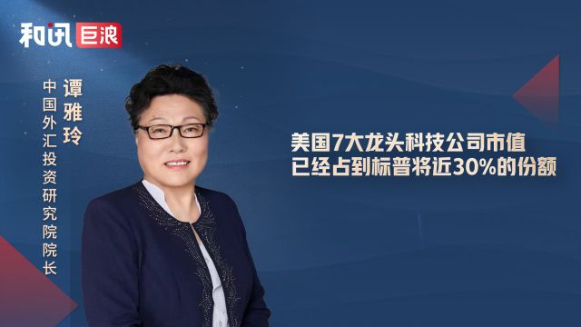 谭雅玲:美国七大龙头科技公司市值已经占到标普将近30%的份额