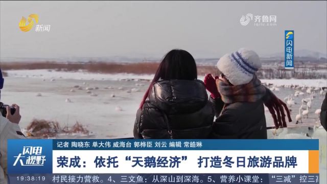 荣成依托“天鹅经济”,打造冬日旅游品牌,游客和摄影爱好者齐聚