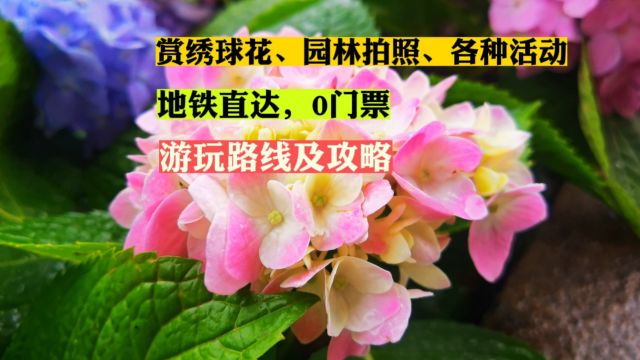 广州文化馆,有古典园林和色彩绚丽花海,春游十分适合,攻略来了