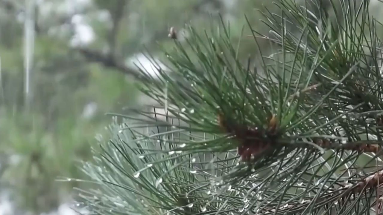 中央气象台继续发布暴雨橙色预警！京津冀降雨持续新一轮强降雨来袭_高清