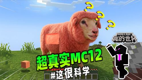 我的世界：超真实MC第12期，粉色羊羊变成了现实中的模样！_高清1080P在线观看平台_腾讯视频