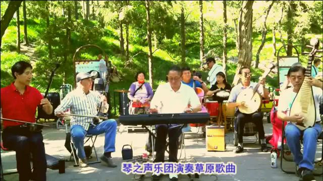 天坛琴之声乐团演奏草原歌曲,繁弦急管悦耳动听