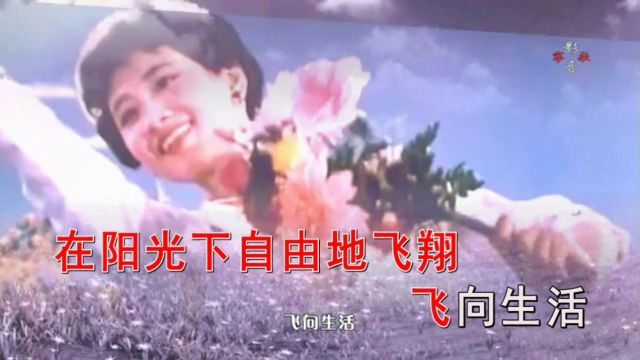 女声小合唱生活是这样美好KTV